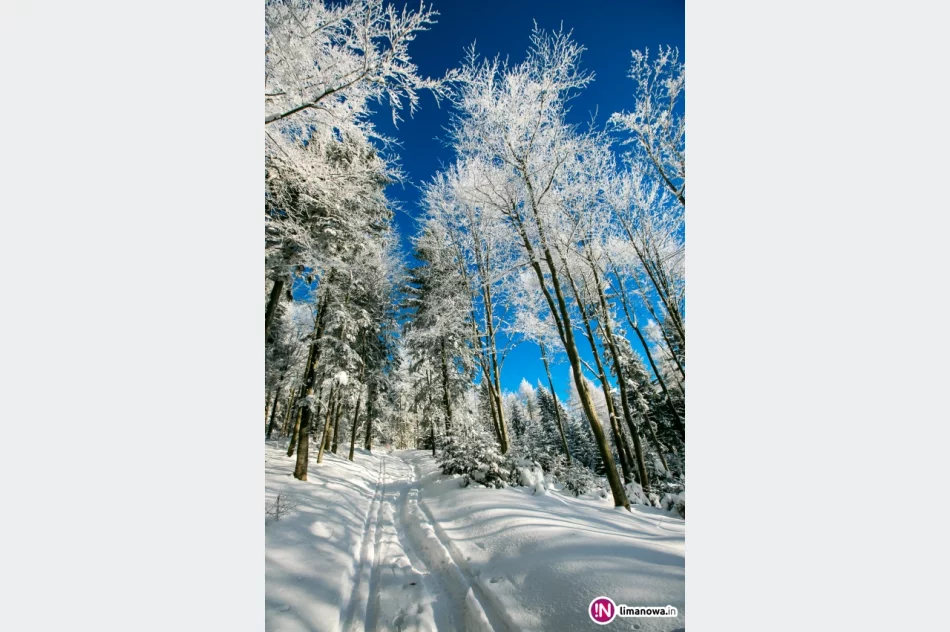 Zimowy poranek na Mogielicy - zdjęcie 4