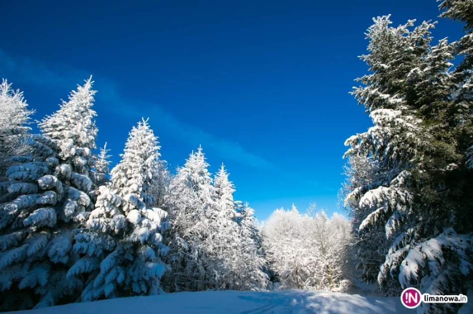 Zimowy poranek na Mogielicy - zdjęcie 5