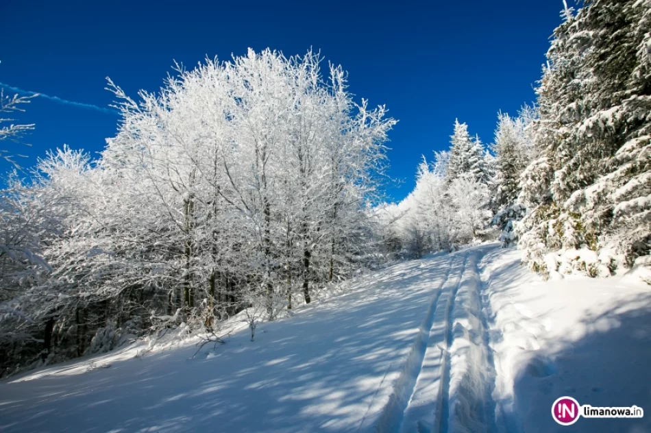 Zimowy poranek na Mogielicy - zdjęcie 6