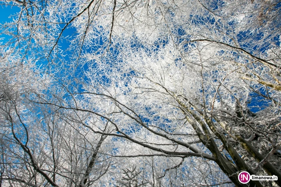 Zimowy poranek na Mogielicy - zdjęcie 7