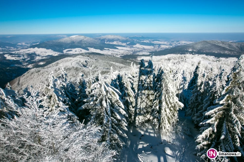 Zimowy poranek na Mogielicy - zdjęcie 9