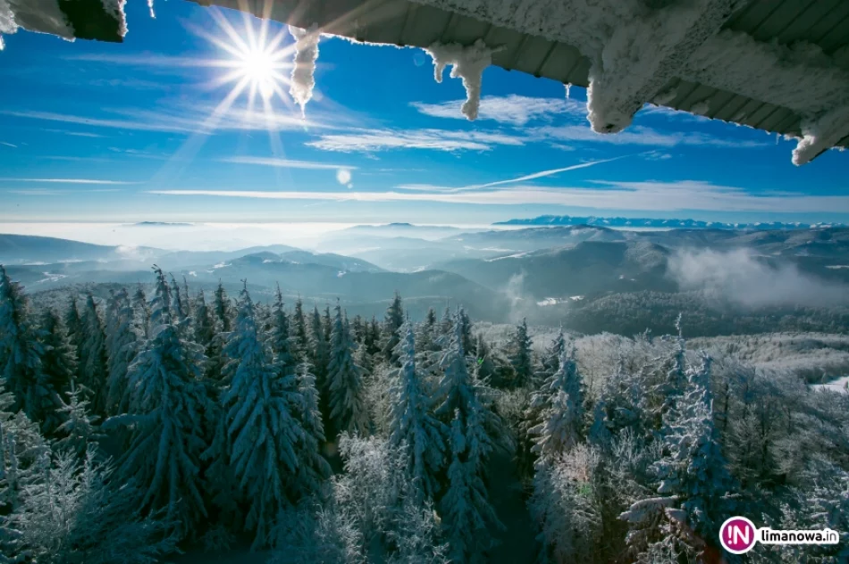 Zimowy poranek na Mogielicy - zdjęcie 11