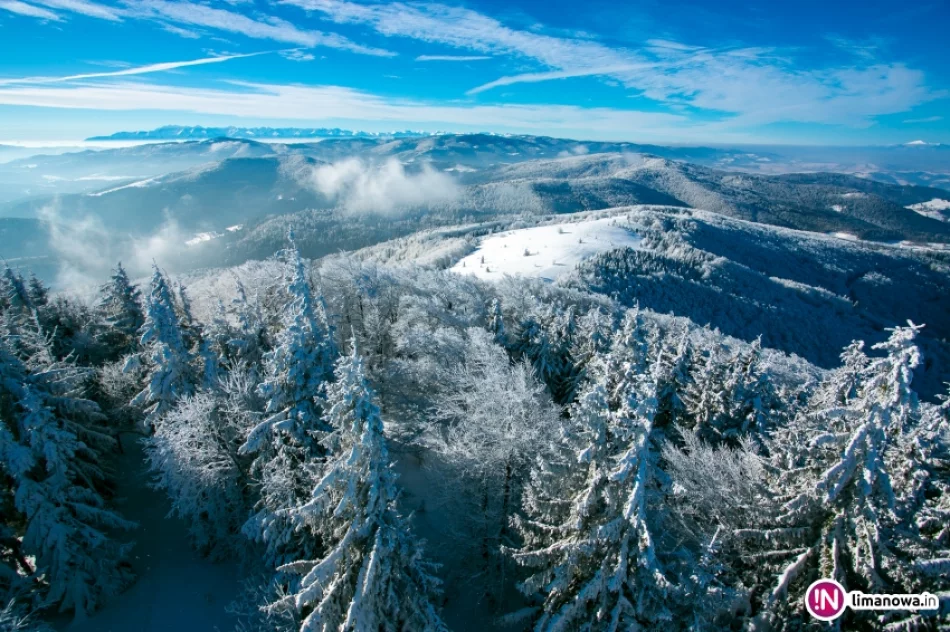 Zimowy poranek na Mogielicy - zdjęcie 12