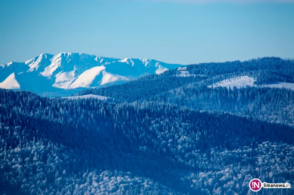 Zimowy poranek na Mogielicy - zdjęcie 13