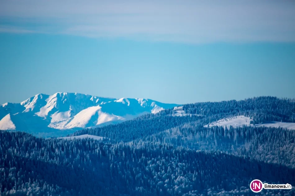 Zimowy poranek na Mogielicy - zdjęcie 15
