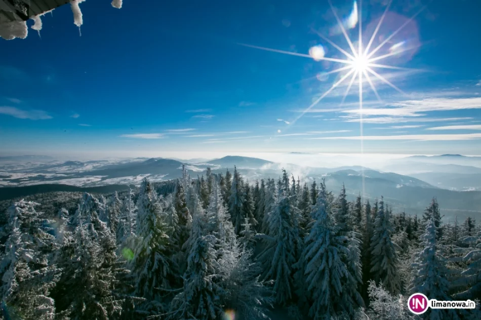 Zimowy poranek na Mogielicy - zdjęcie 17
