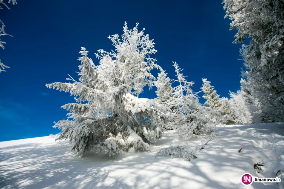 Zimowy poranek na Mogielicy - zdjęcie 18