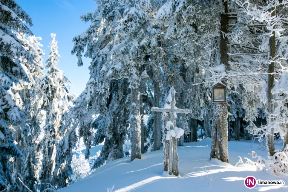Zimowy poranek na Mogielicy - zdjęcie 19