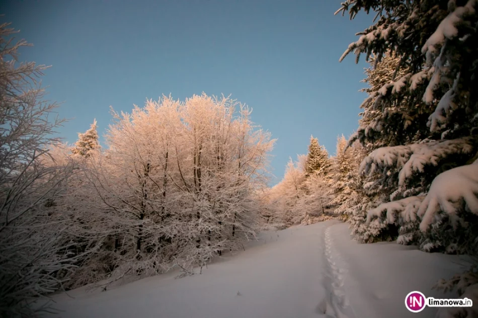 Zimowy wschód słońca na Mogielicy - zdjęcie 6