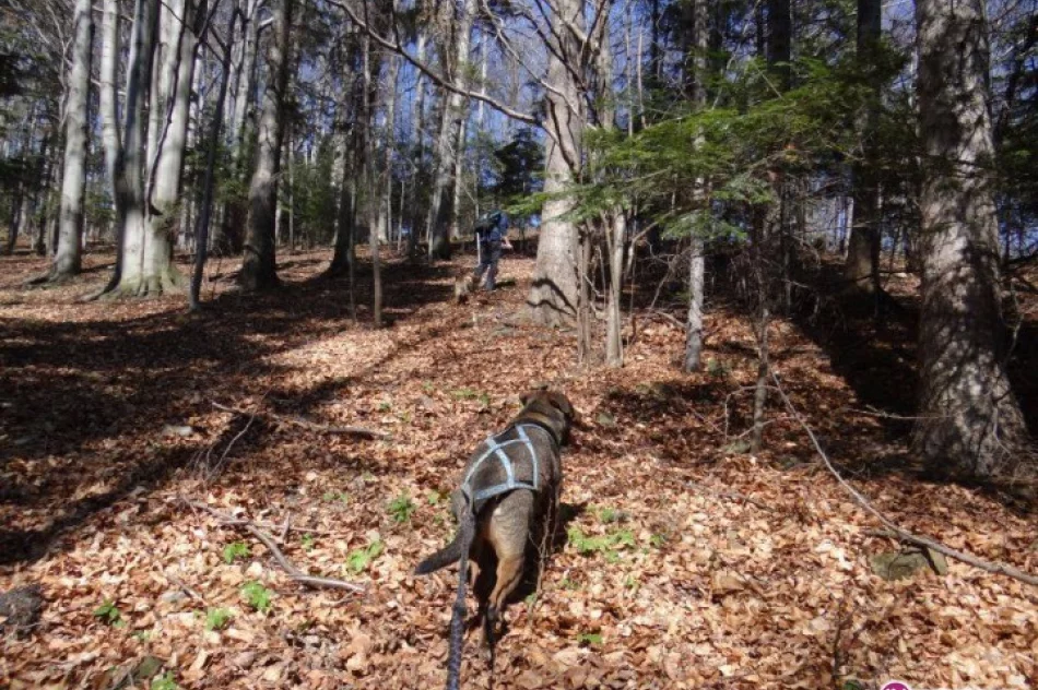 Sportowy weekend majowy ze Stowarzyszeniem FRIKAJ.pl - zdjęcie 2
