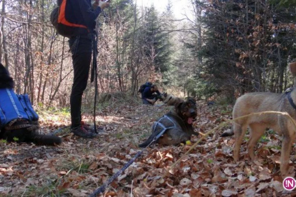 Sportowy weekend majowy ze Stowarzyszeniem FRIKAJ.pl - zdjęcie 4