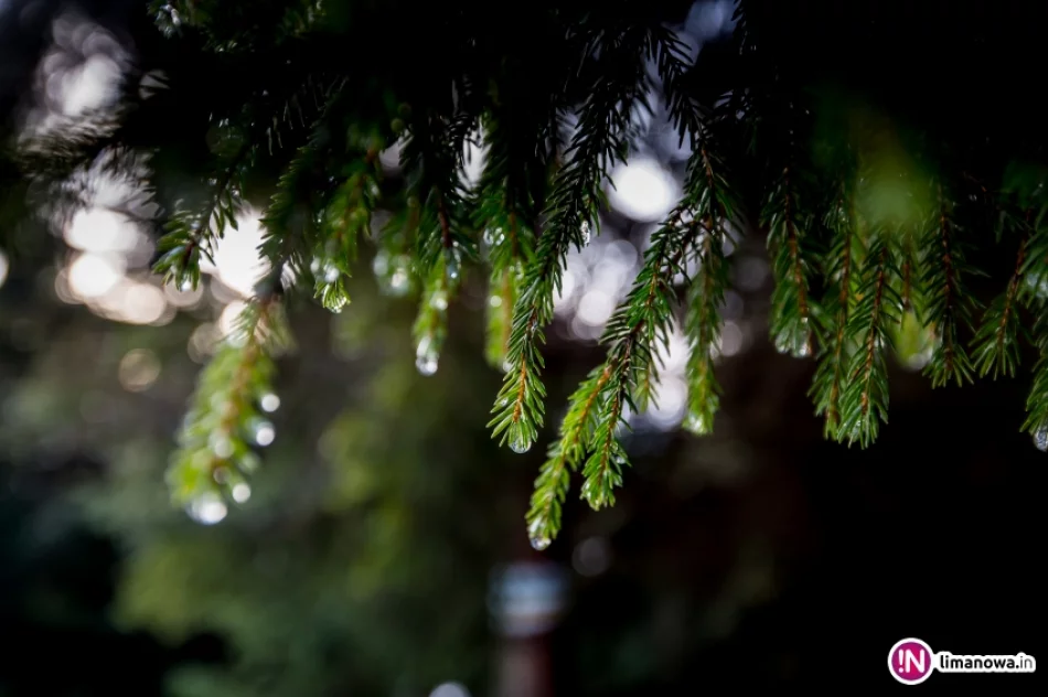 Morze mgieł z Mogielicy - zdjęcie 15