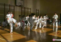 Pokaz umiejętności limanowskich karateków - zdjęcie główne