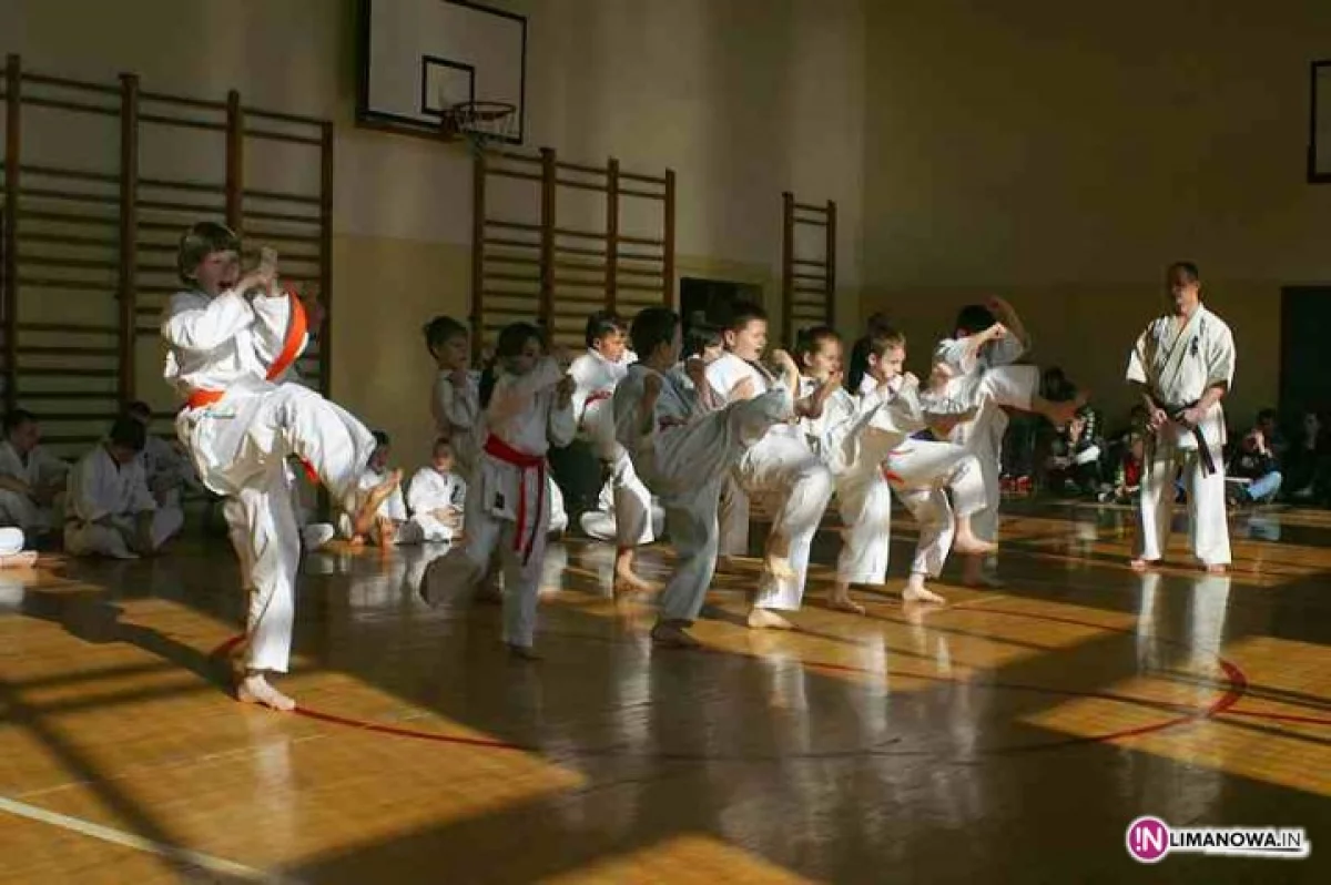 Pokaz umiejętności limanowskich karateków