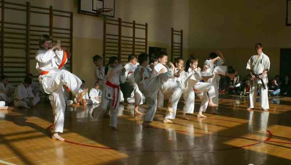 Pokaz umiejętności limanowskich karateków - zdjęcie 1