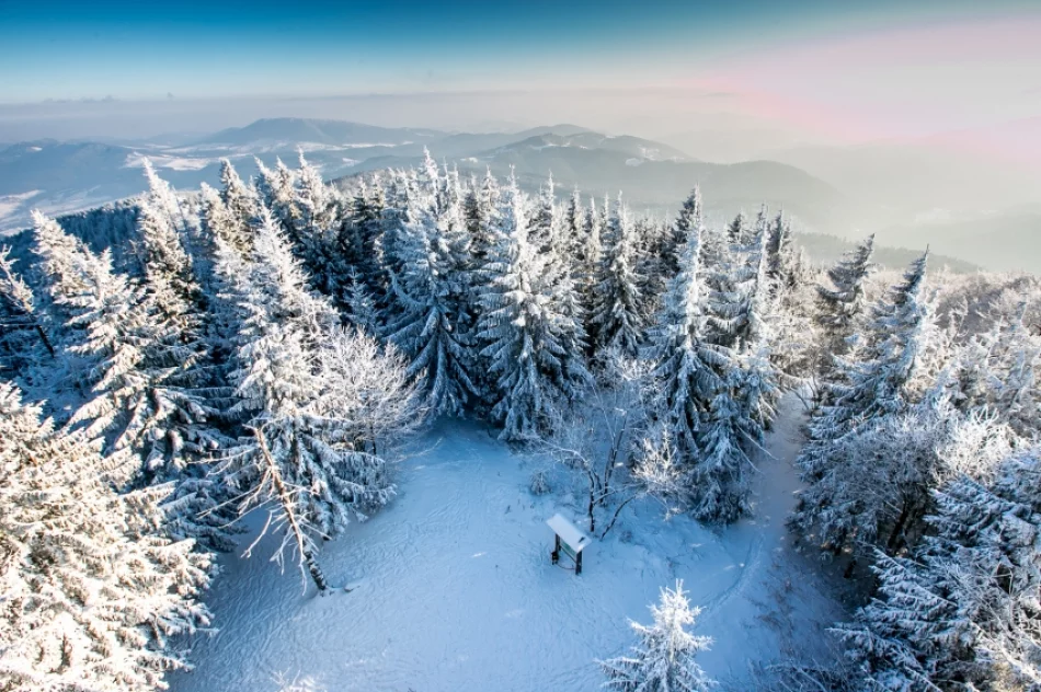 Mogielica lekko przysypana śniegiem... - zdjęcie 2