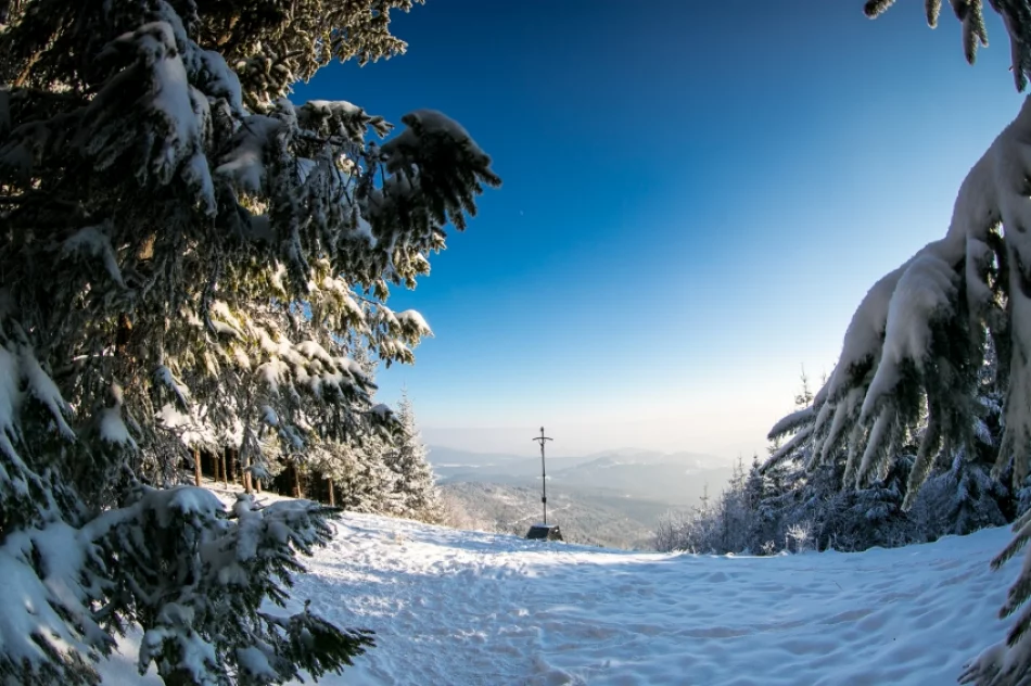 Mogielica lekko przysypana śniegiem... - zdjęcie 3