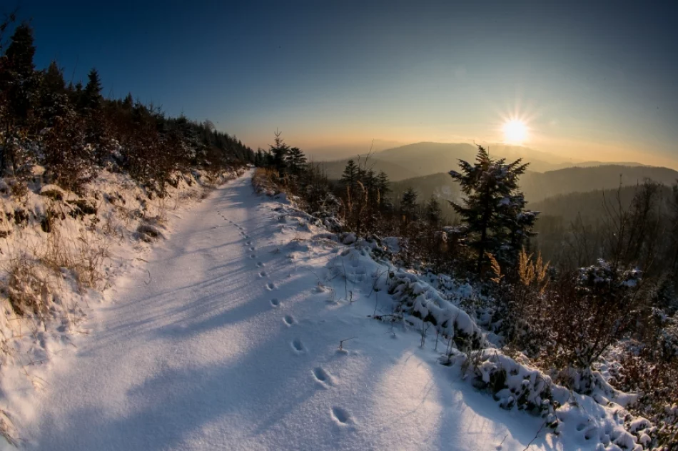 Mogielica lekko przysypana śniegiem... - zdjęcie 4