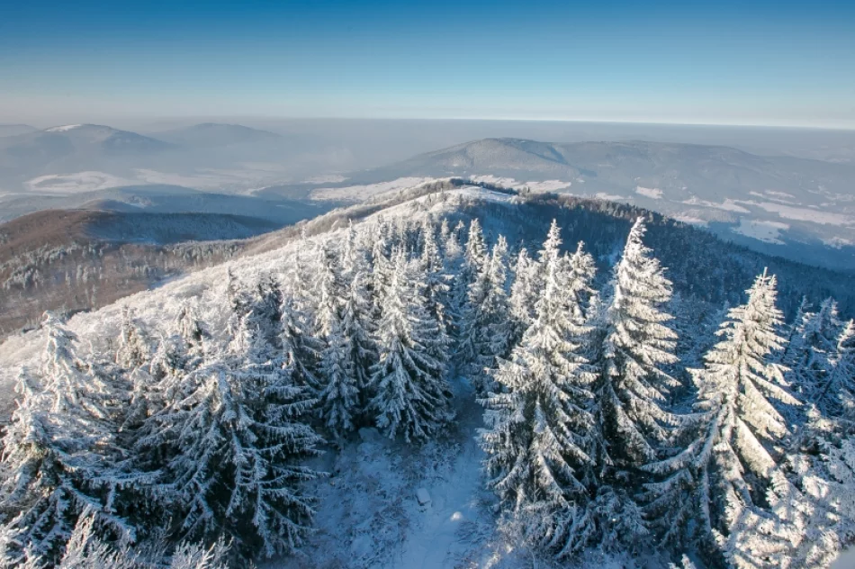 Mogielica lekko przysypana śniegiem... - zdjęcie 5