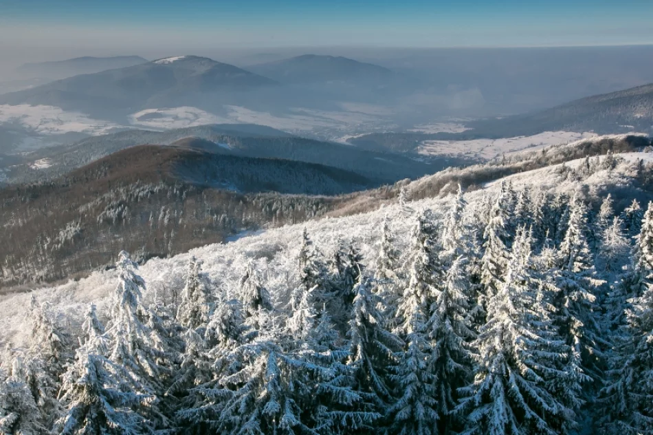 Mogielica lekko przysypana śniegiem... - zdjęcie 6