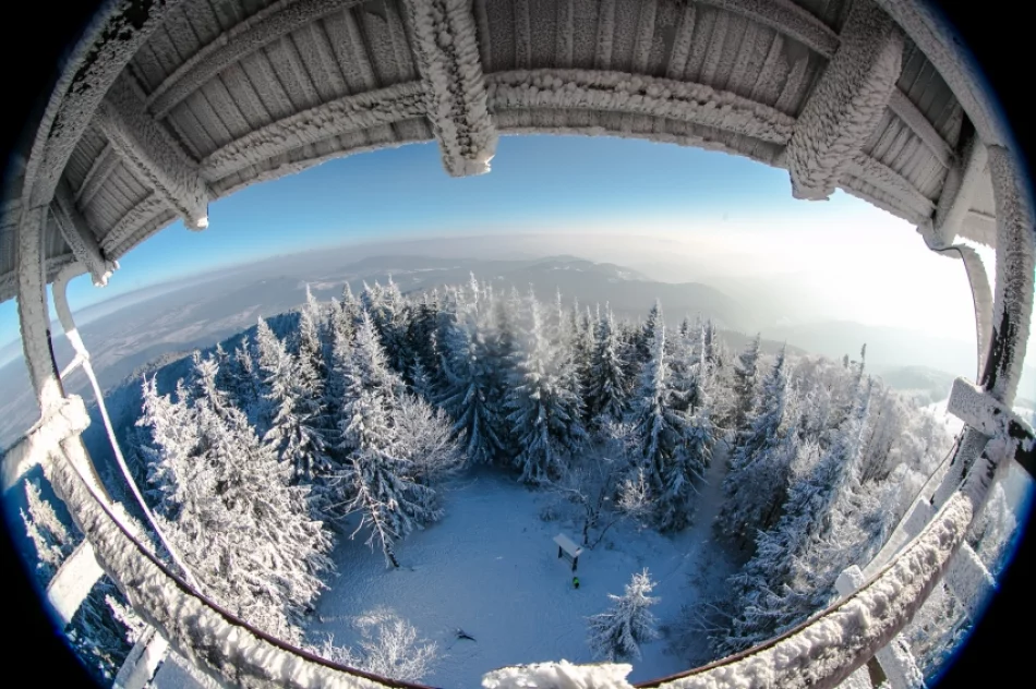 Mogielica lekko przysypana śniegiem... - zdjęcie 7