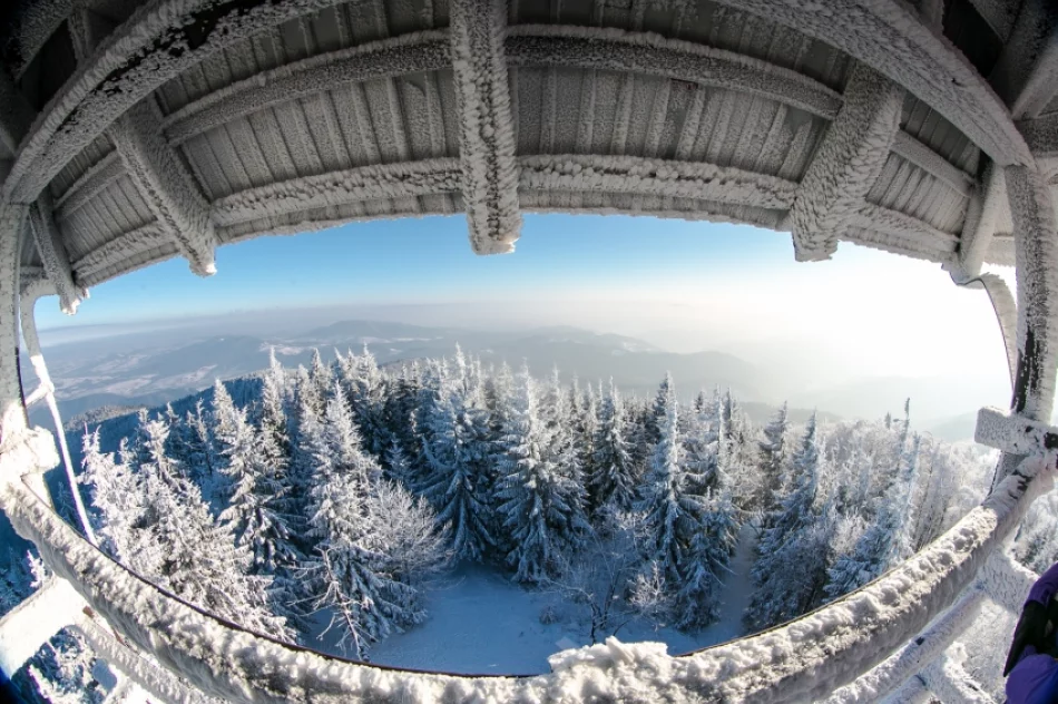 Mogielica lekko przysypana śniegiem... - zdjęcie 8