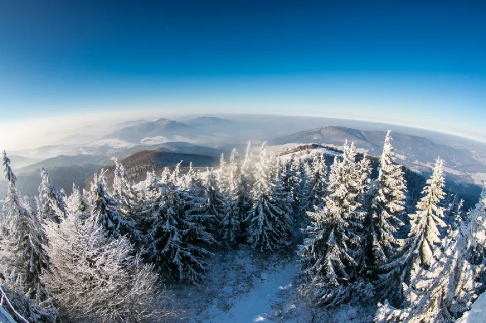 Mogielica lekko przysypana śniegiem... - zdjęcie 10