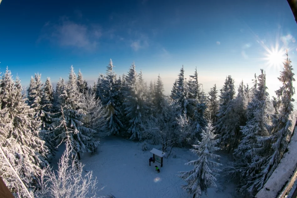 Mogielica lekko przysypana śniegiem... - zdjęcie 11
