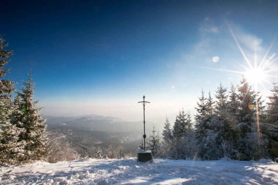 Mogielica lekko przysypana śniegiem... - zdjęcie 13