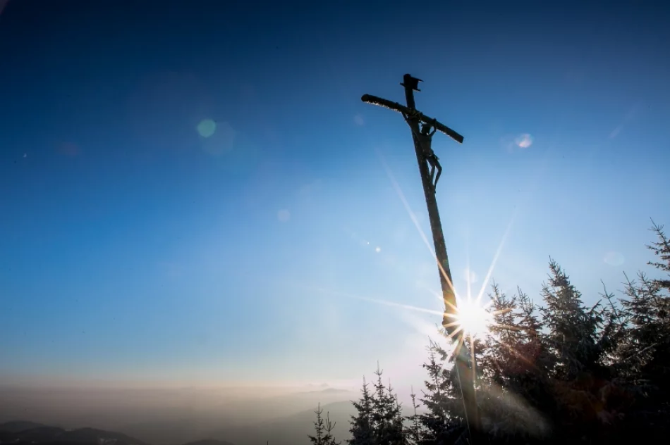 Mogielica lekko przysypana śniegiem... - zdjęcie 14