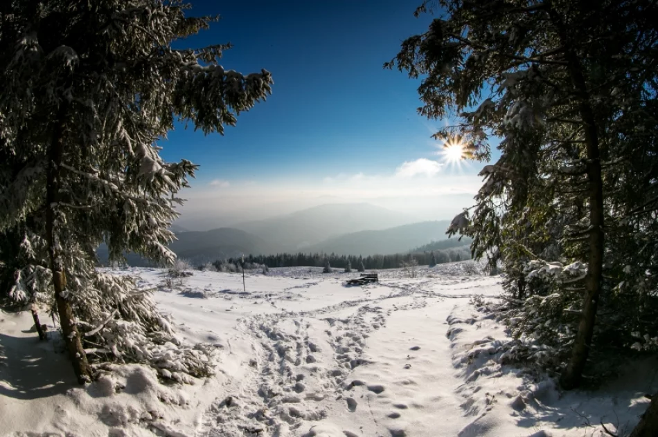 Mogielica lekko przysypana śniegiem... - zdjęcie 15