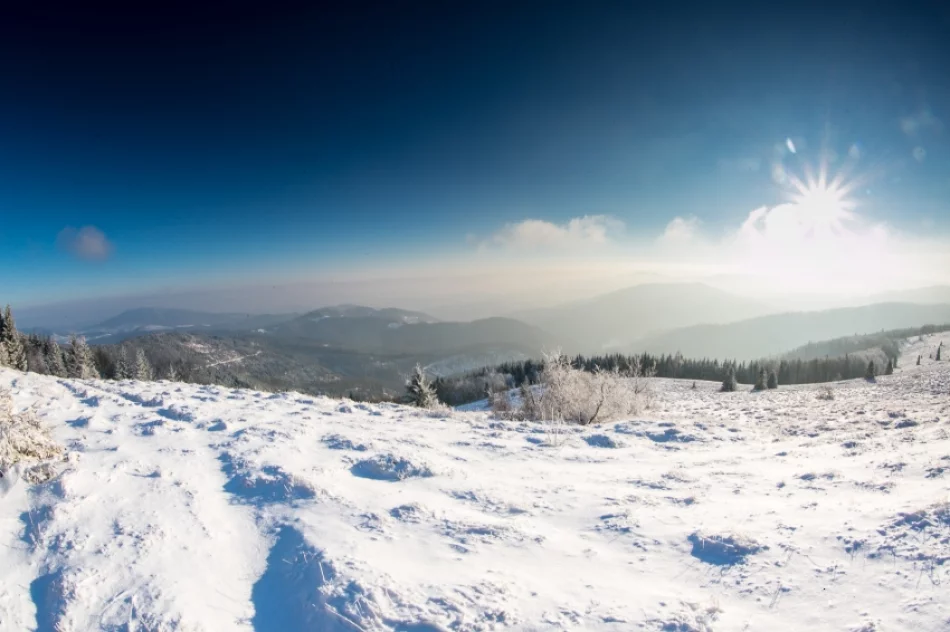 Mogielica lekko przysypana śniegiem... - zdjęcie 16