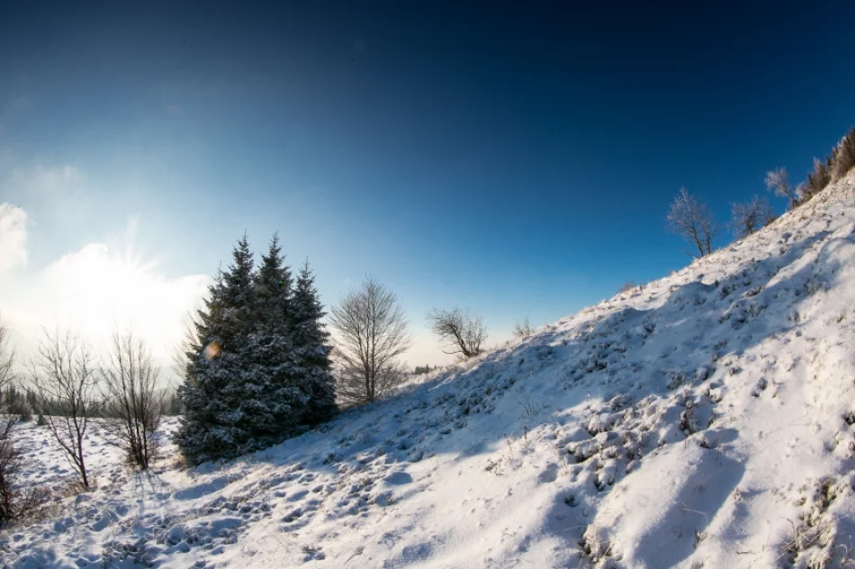 Mogielica lekko przysypana śniegiem... - zdjęcie 17