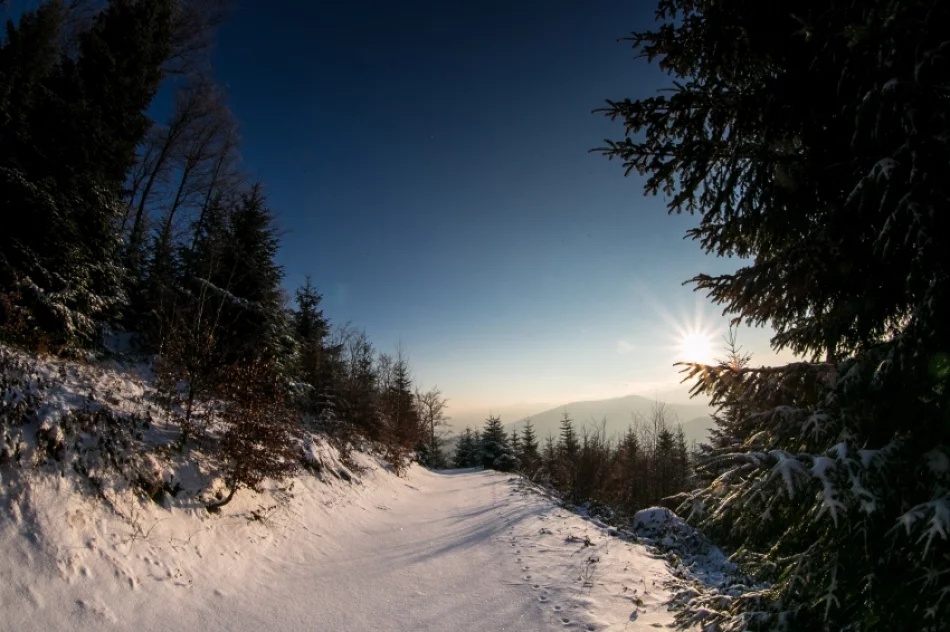 Mogielica lekko przysypana śniegiem... - zdjęcie 20