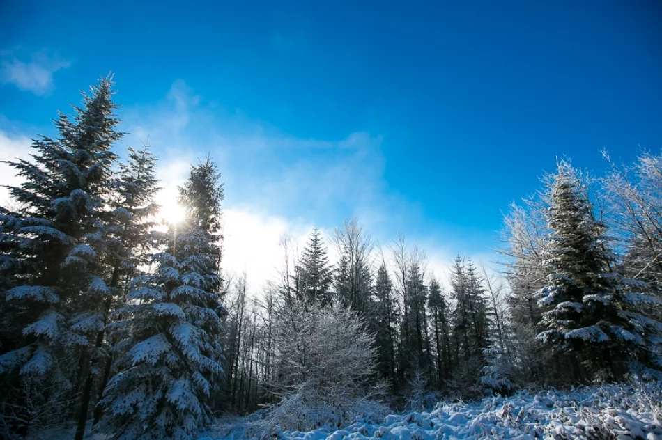 Słońce na szczytach - zdjęcie 2