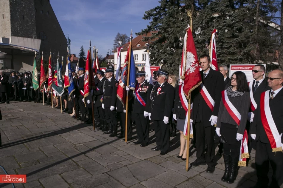 Narodowe Święto Niepodległości w Limanowej - 2014 - zdjęcie 18