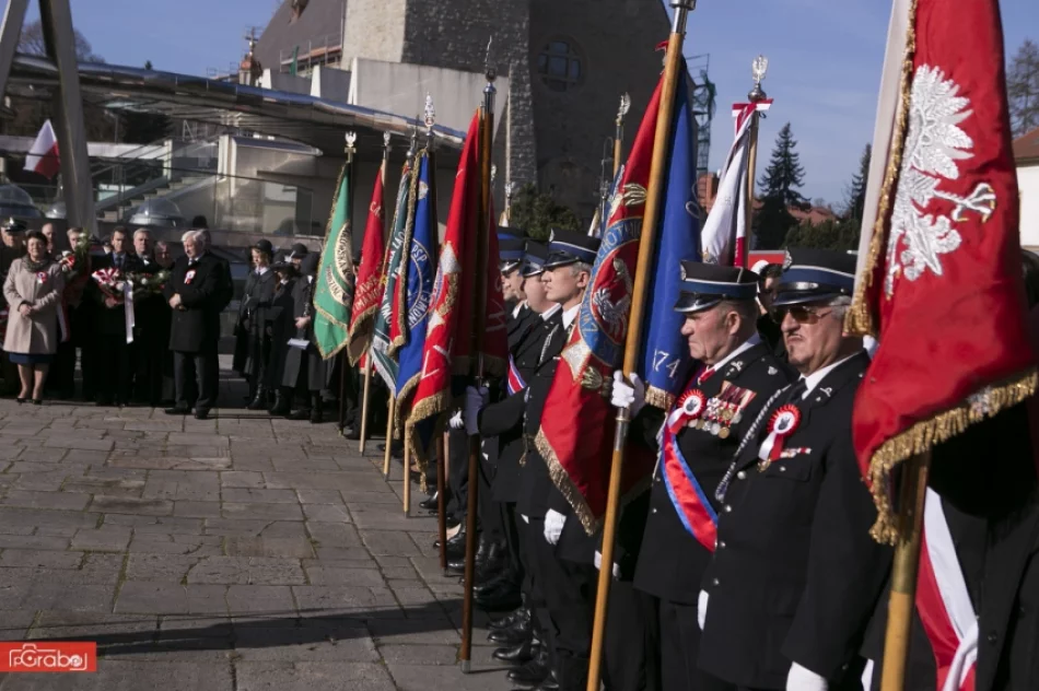 Narodowe Święto Niepodległości w Limanowej - 2014 - zdjęcie 20