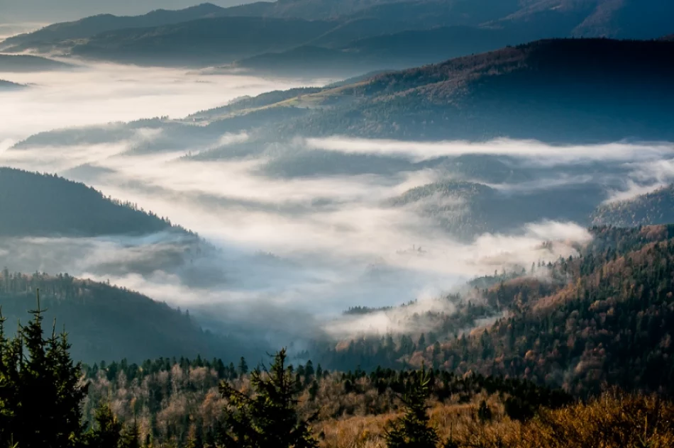 Wschód słońca z Mogielicy - zdjęcie 3