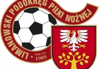 Wybierz piłkarza i trenera roku. Zagłosuj! - zdjęcie główne