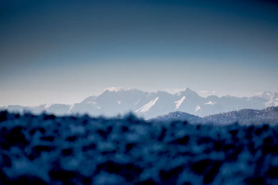 Mroźny poranek we mgle... - zdjęcie 2
