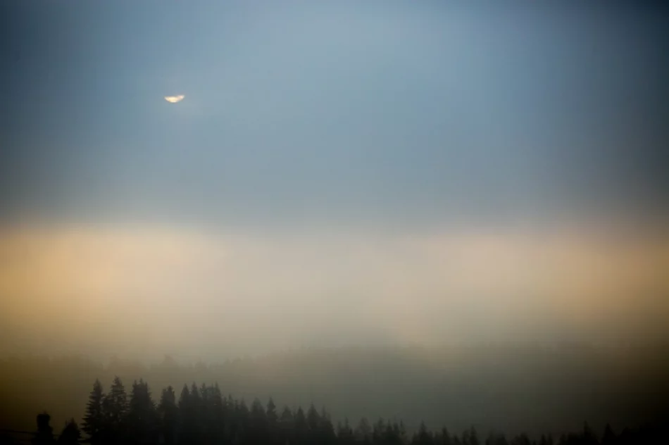 Mroźny poranek we mgle... - zdjęcie 4