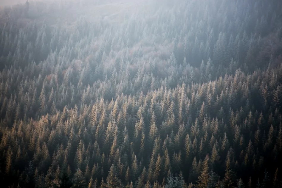 Mroźny poranek we mgle... - zdjęcie 5