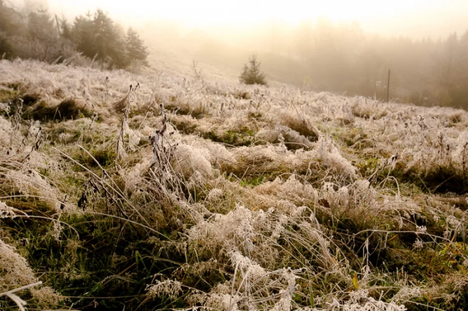 Mroźny poranek we mgle... - zdjęcie 18