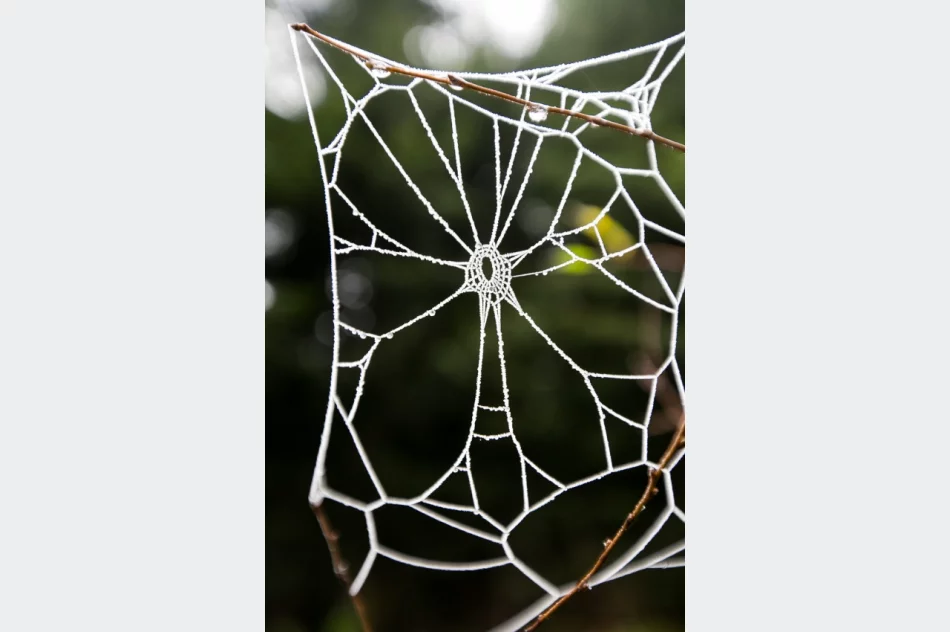 Przymroziło... - zdjęcie 3