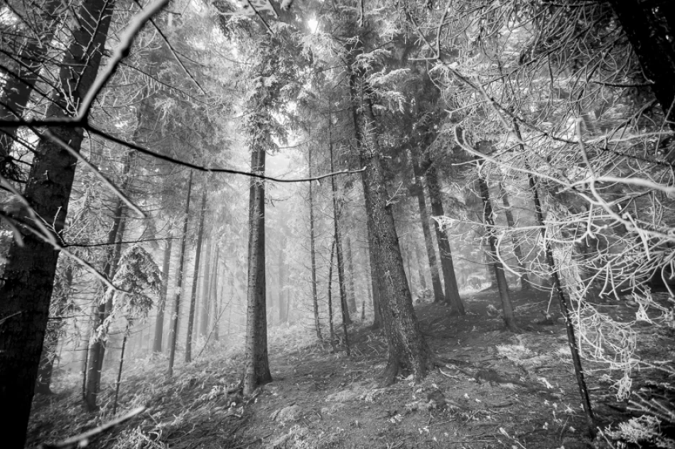 Przymroziło... - zdjęcie 13