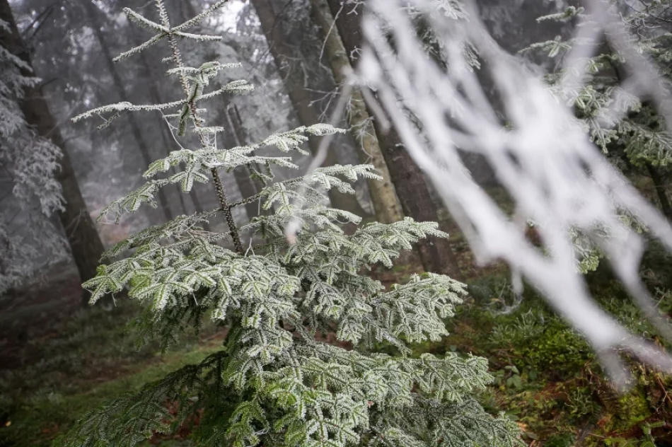 Przymroziło... - zdjęcie 18