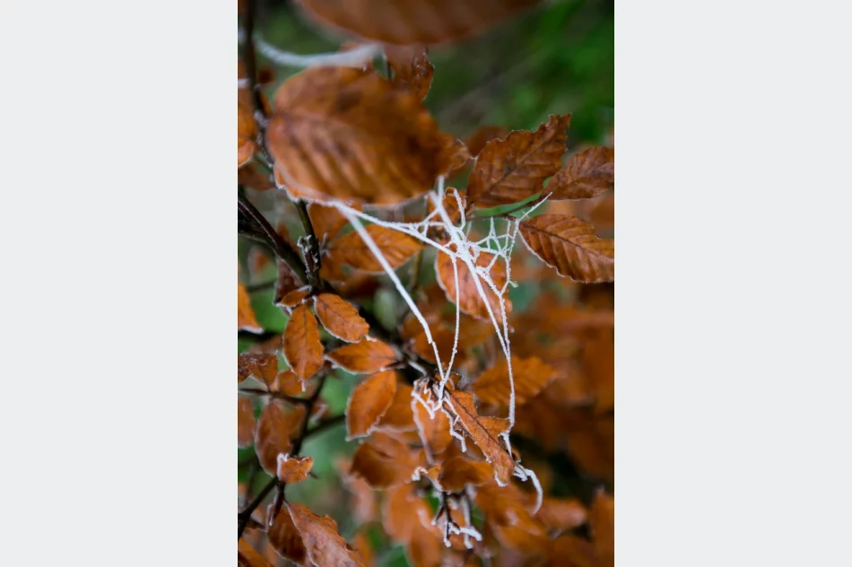 Przymroziło... - zdjęcie 19