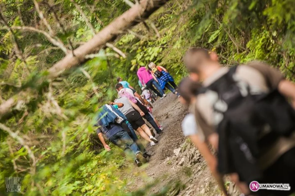 XVI Złaz Turystyczny Mogielica 2014 - zdjęcie 8
