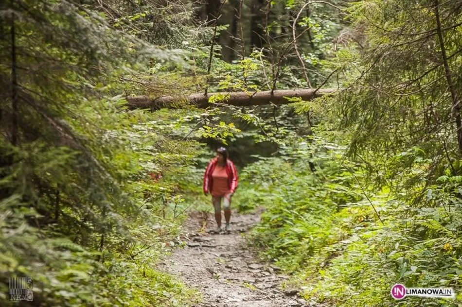 XVI Złaz Turystyczny Mogielica 2014 - zdjęcie 9
