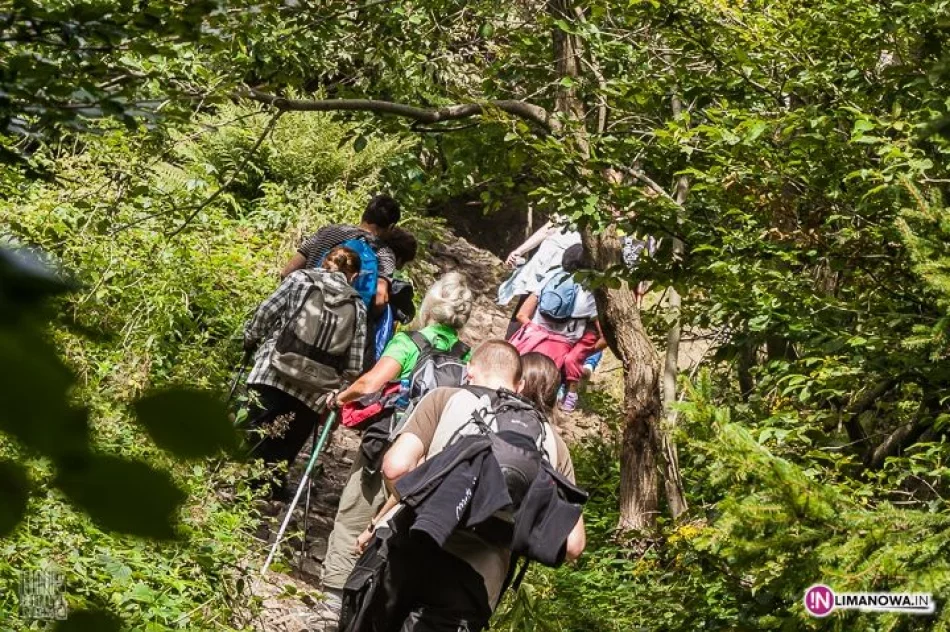 XVI Złaz Turystyczny Mogielica 2014 - zdjęcie 17